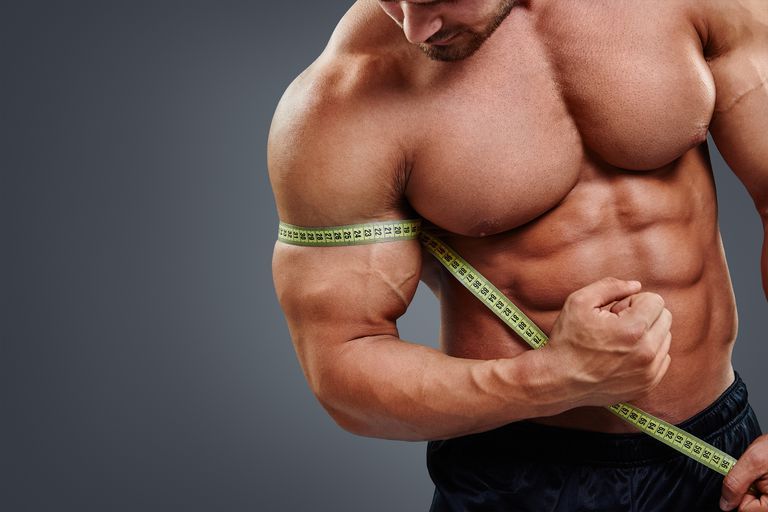 Muscle Gain Nutrition